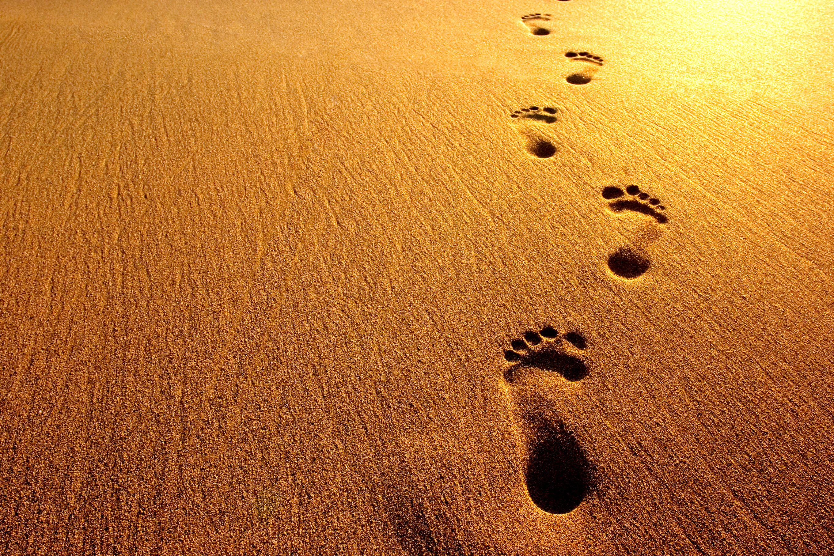 Footprints